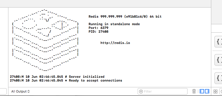 Redis 运行成功输出